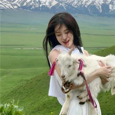 大明星多重宇宙 海报